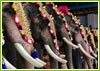 Elephant Festival of Kerala